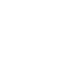 Netnounce Logo